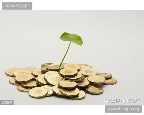 万博会员成长计划如何帮助会员实现财务自由与生活品质提升