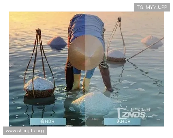 万博网上体育平台最新赛事资讯与专业分析，助你轻松掌握体育动态