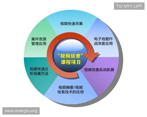 多米娱乐未来发展规划与创新方向，探索其在网络游戏行业的持续竞争力