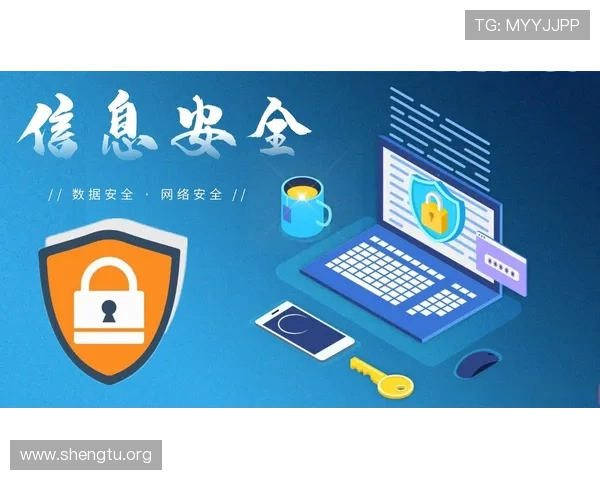 确保万博官方网址电脑版登录安全的实用建议与防护措施